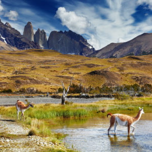 Peru, Bolivija, Čile – Machu Picchu, otok Sunca i dragulji čileanske kulture