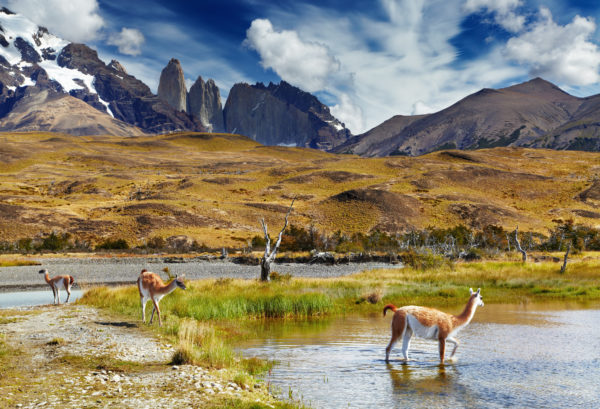 Peru, Bolivija, Čile - Machu Picchu, otok Sunca i dragulji čileanske kulture