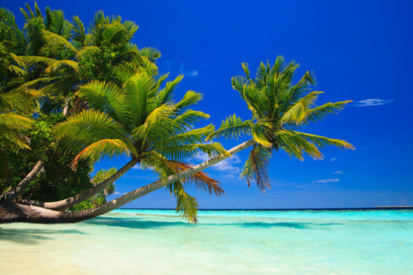 Maldivi, arhipelag tirkiznih laguna i kokosovih palmi