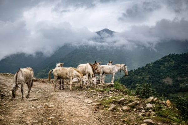 Nepal - osvoji najviši vrh na svijetu i pronađi svoj unutarnji mir